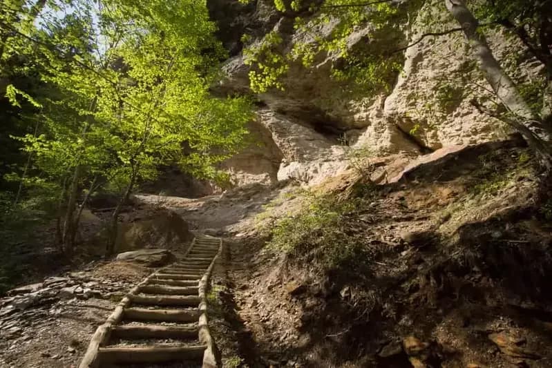 Hiking the Alum Cave Trail