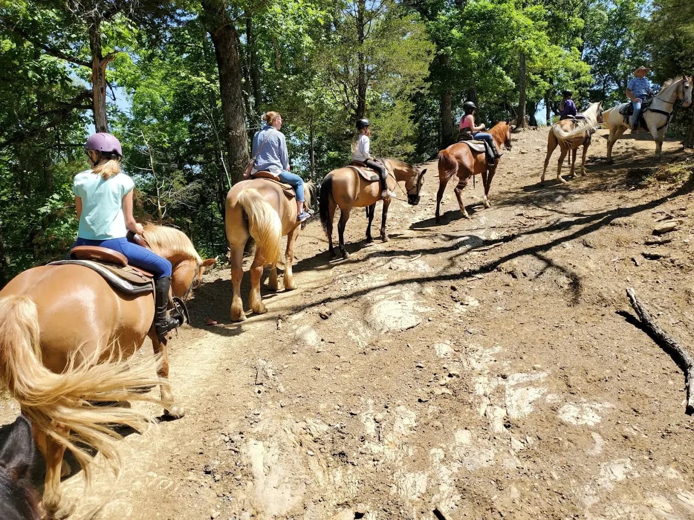 Horseback Riding