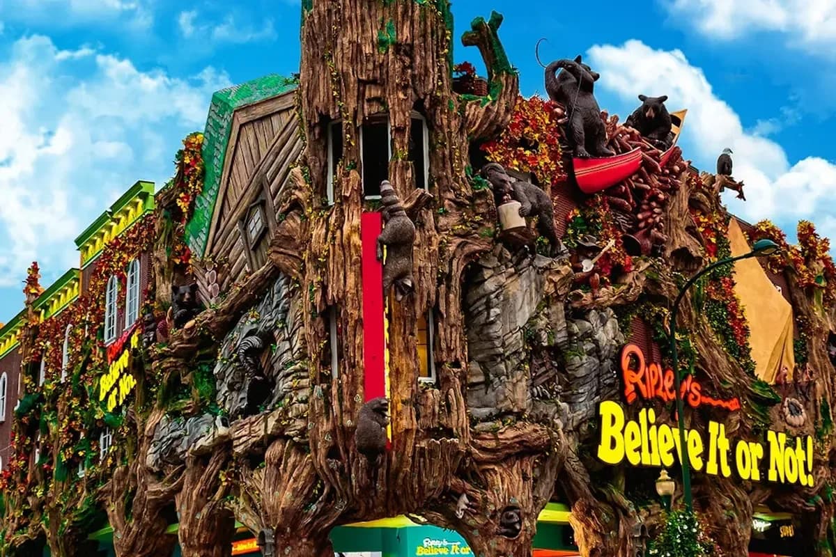 Ripley's Believe It or Not!